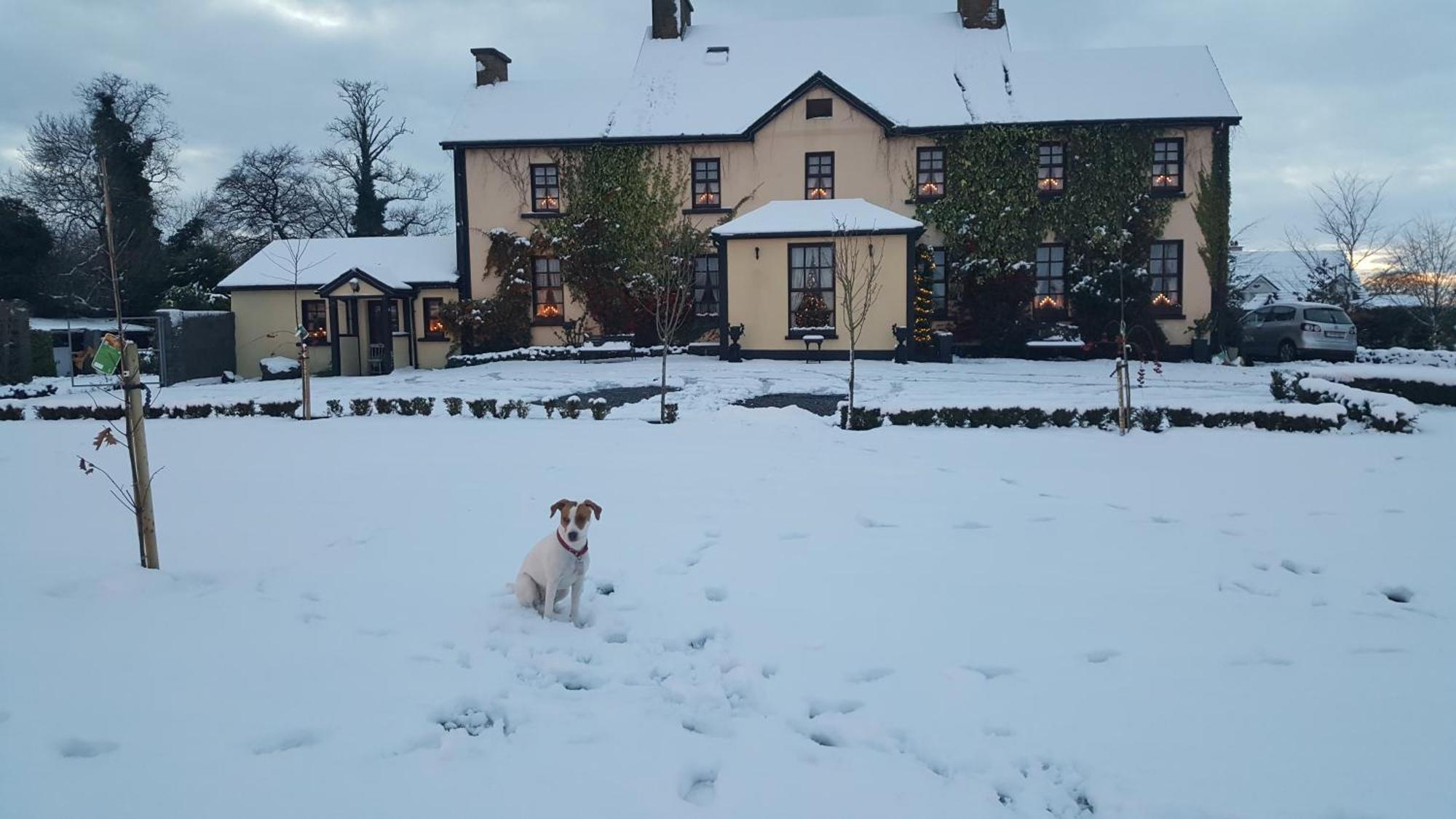 Charlotte'S Way B&B Banagher Exterior foto
